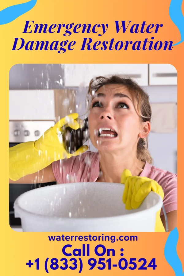 Emergency Water Damage Restoration in Klondike Corner, NH