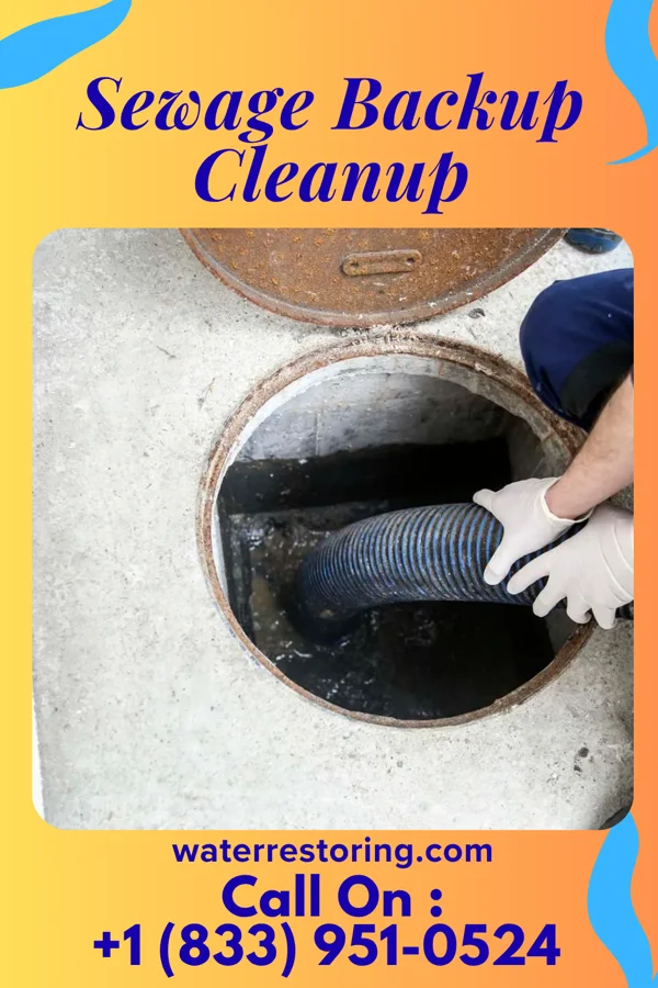 Sewage Backup Cleanup in Klondike Corner, NH