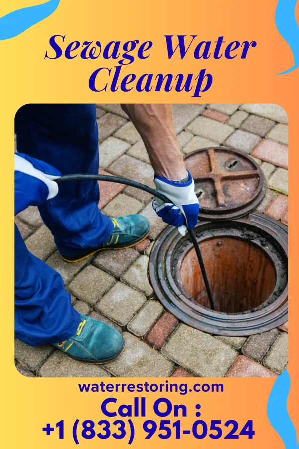 Sewage Water Cleanup in Klondike Corner, NH